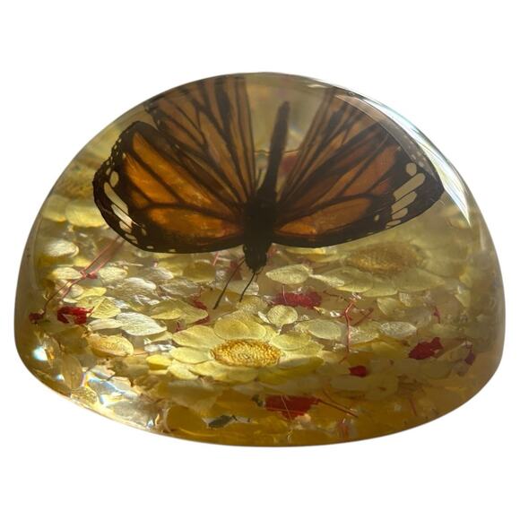 Real Preserved Monarch Butterfly Resin Flower Dome Paperweight 4” X 2” - Picture 5 of 7